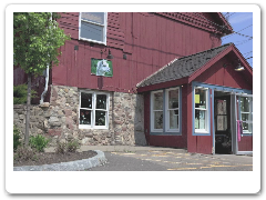The Alpaca Store